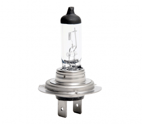 Bosch H7 70W 24V - Trucklight
